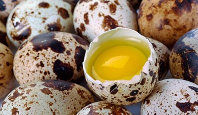Фото перепелиного яйца